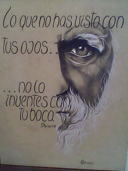Frases