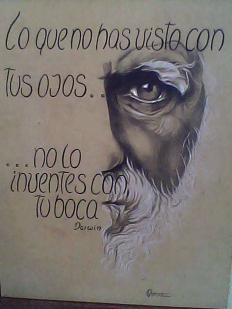 Frases