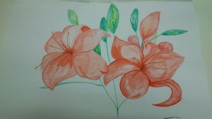 Lilium 1