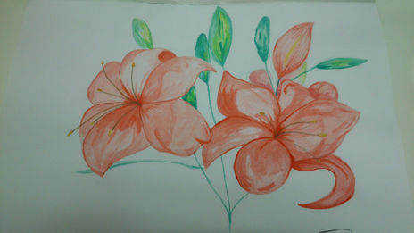 Lilium 1
