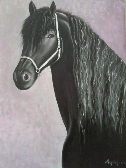 caballo Oil Canvas Animals