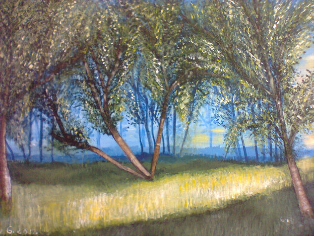 camino y árboles Acrylic Canvas Landscaping