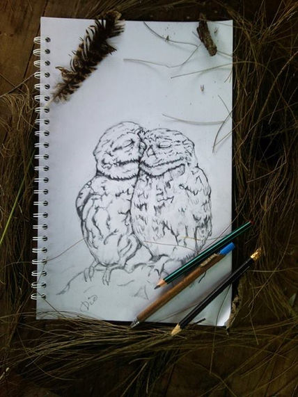 Buhos amor
