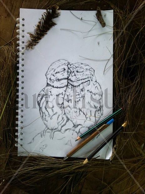 Buhos amor