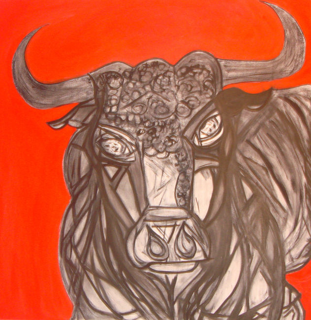 los ojos del toro