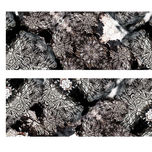 Thea thumbnail 1