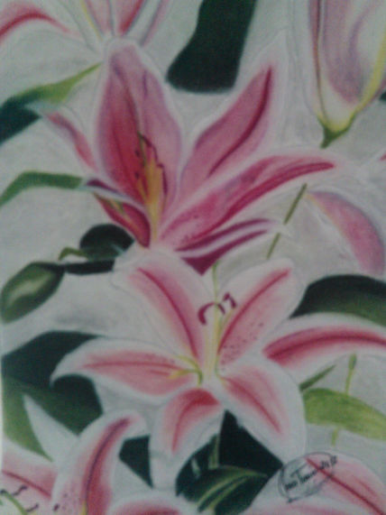 Flores